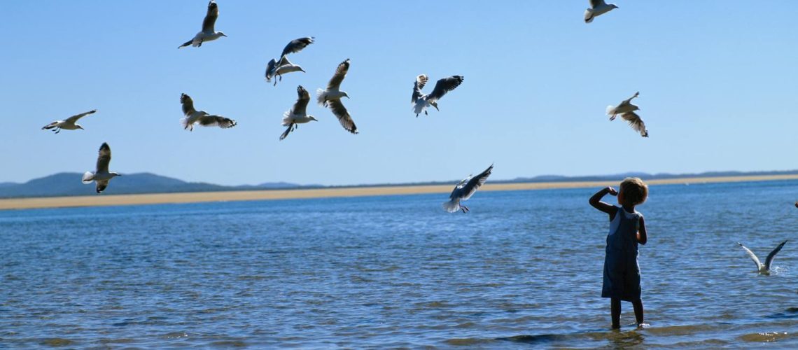 Pourquoi certaines personnes ont-elles peur des oiseaux ?